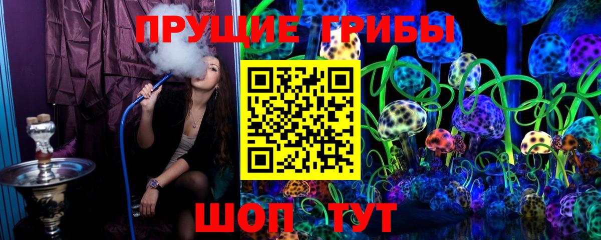 Шахты  Галлюциногенные грибы Psilocybine cubensis  даркнет сайт  Вход с VPN 